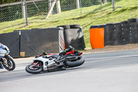 brands-hatch-photographs;brands-no-limits-trackday;cadwell-trackday-photographs;enduro-digital-images;event-digital-images;eventdigitalimages;no-limits-trackdays;peter-wileman-photography;racing-digital-images;trackday-digital-images;trackday-photos